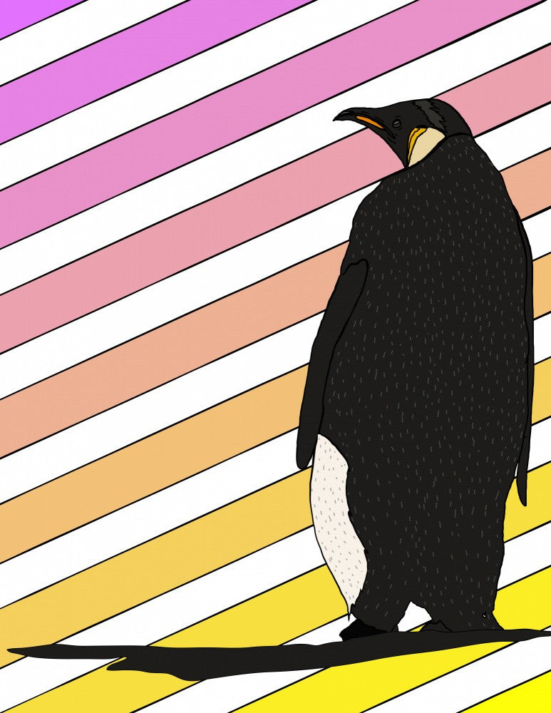 A Vibrant Penguin
