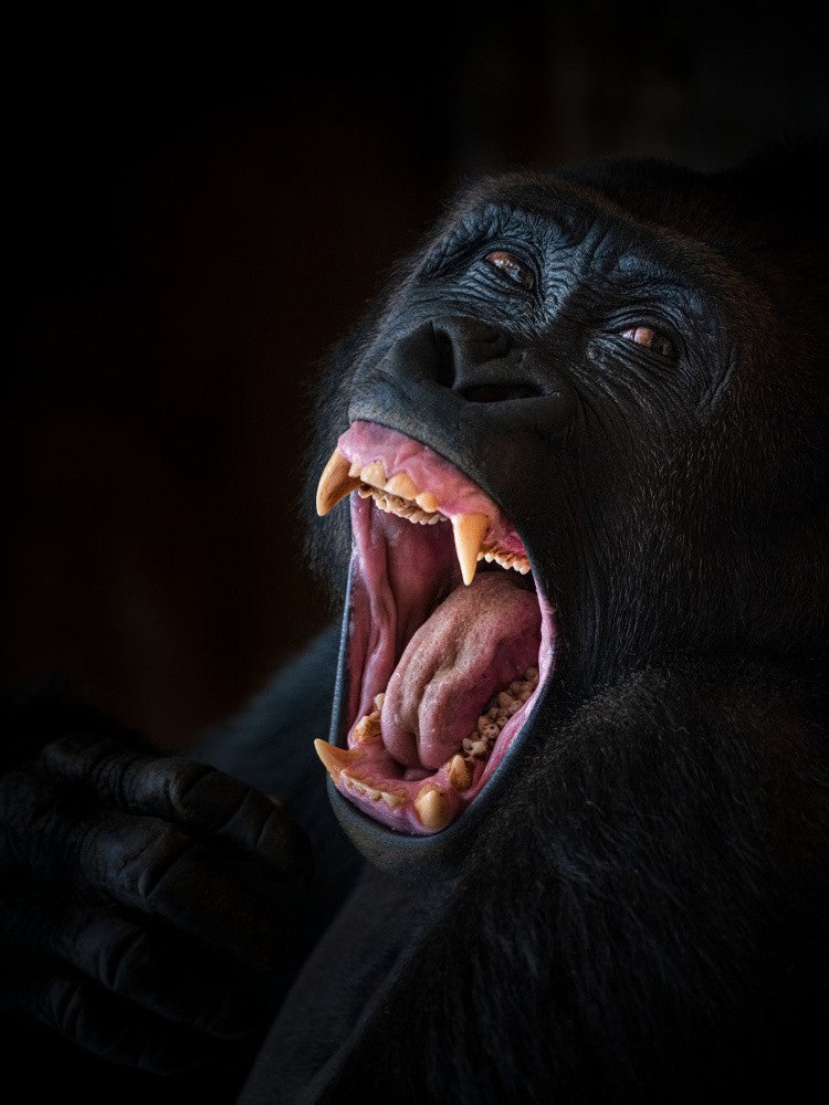 careful or I'll bite.