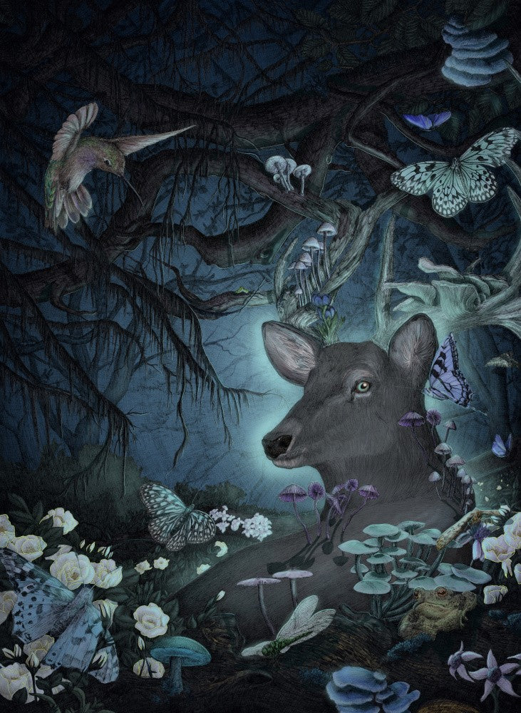 Enchanted Forest Scene