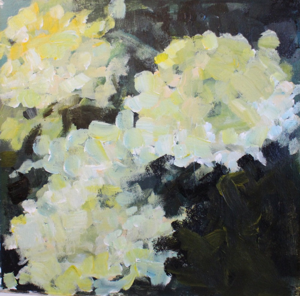 Dreamy Blossoms