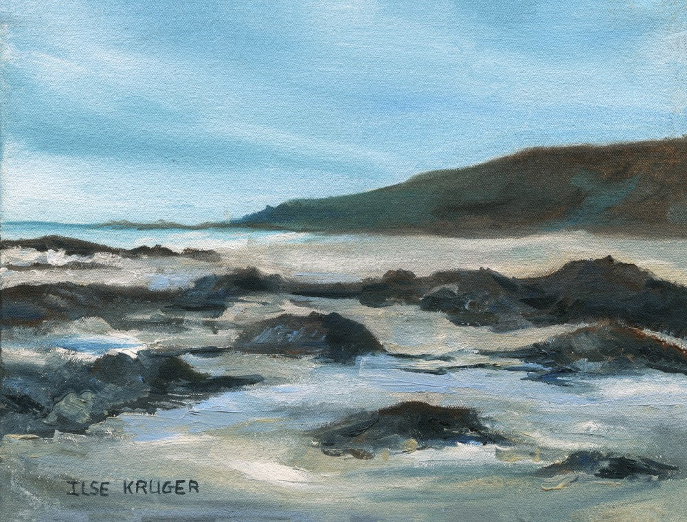 Rocky Shoreline Scene