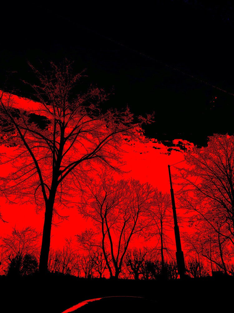 Silhouettes Shining Red Sun