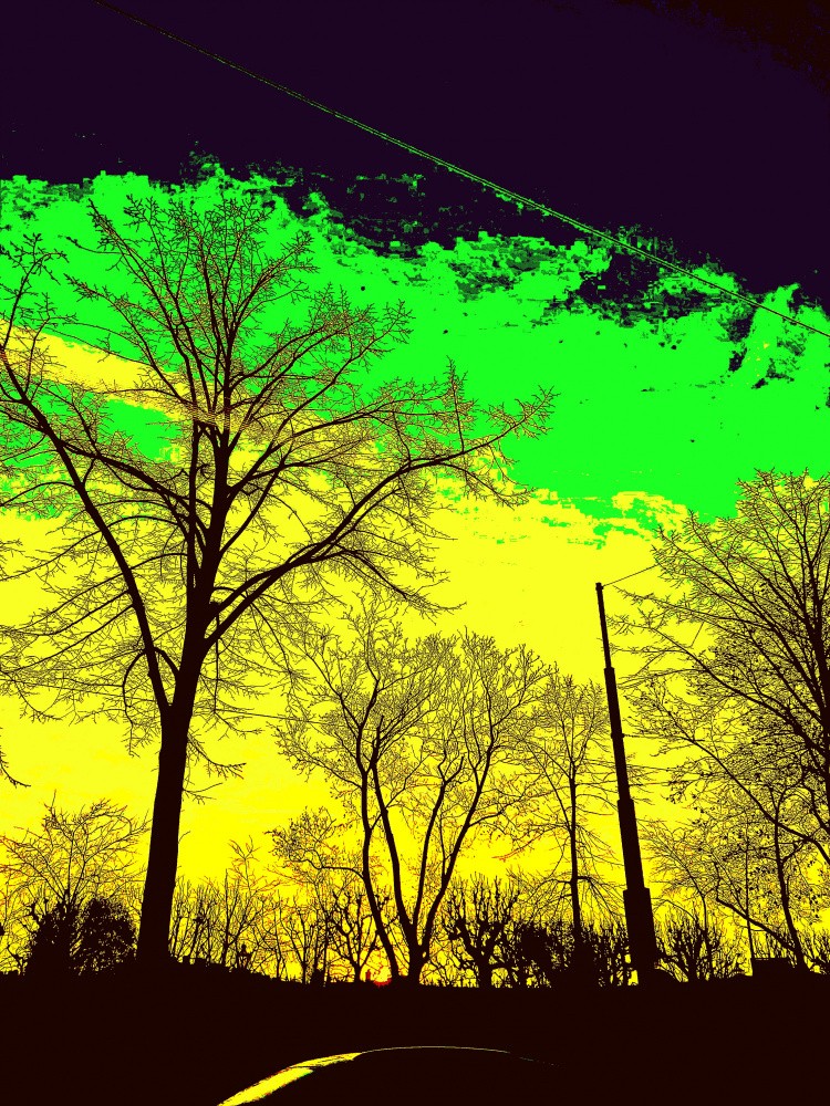 Contemporary Capture: iOS Enhanced Photography - iOS nights