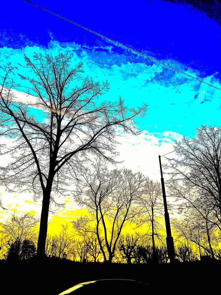 Art in Reflections of Motion