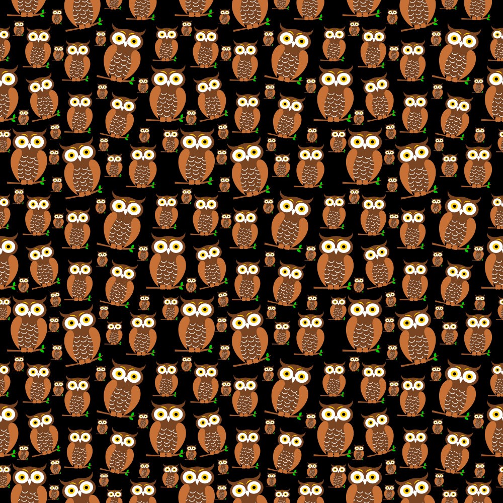 Owls
