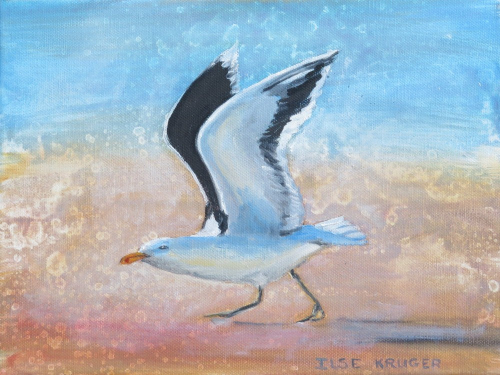 6.  Take off