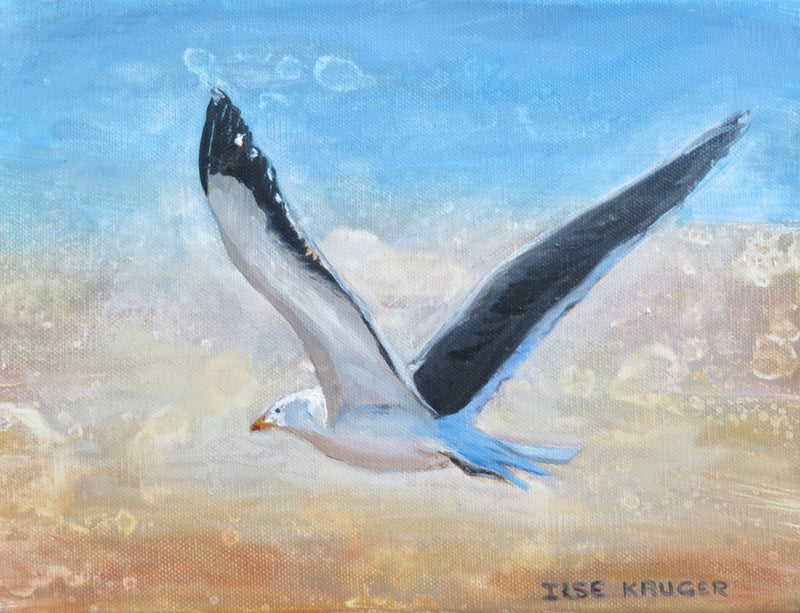 5.  Fly away