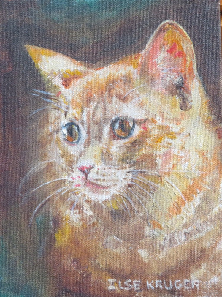 1. Ginger cat
