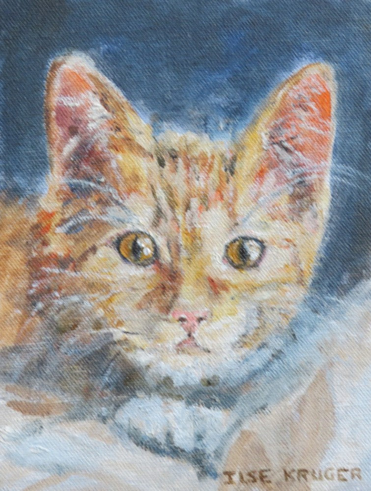 2. kitten