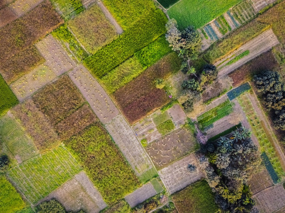 Patterns of cultivation