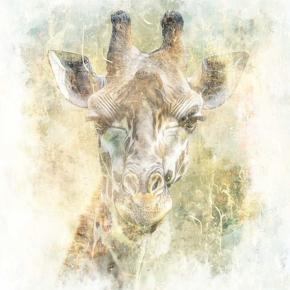 Giraffe Animal Art Illustration 05