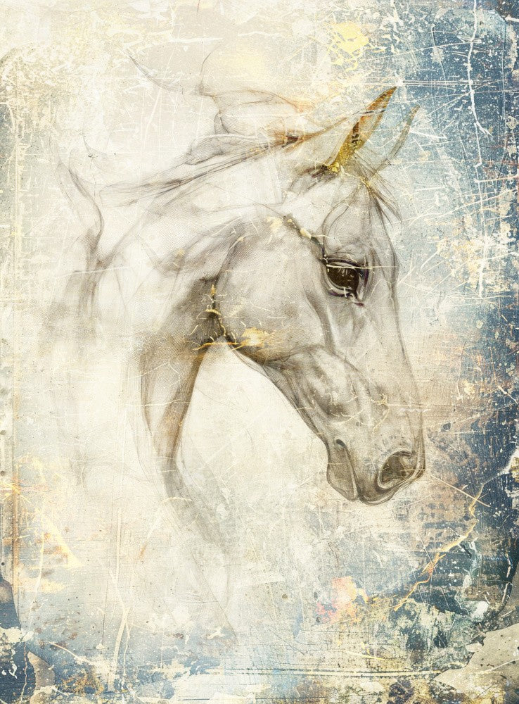 Horse Animal Art Illustration 46