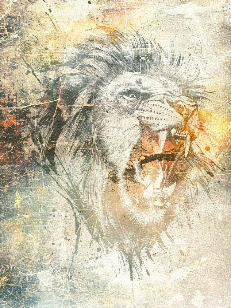 Lion Animal Art Illustration 11