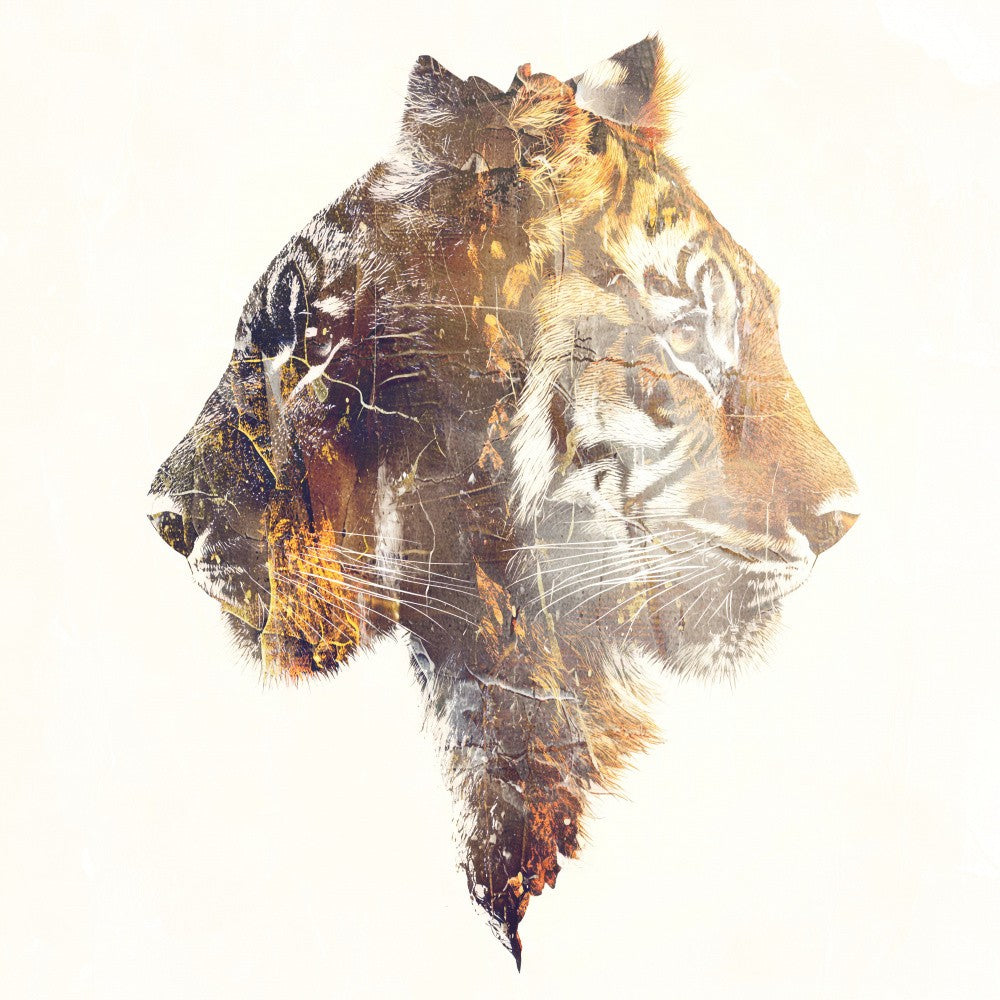 Tiger Animal Art Illustration 04