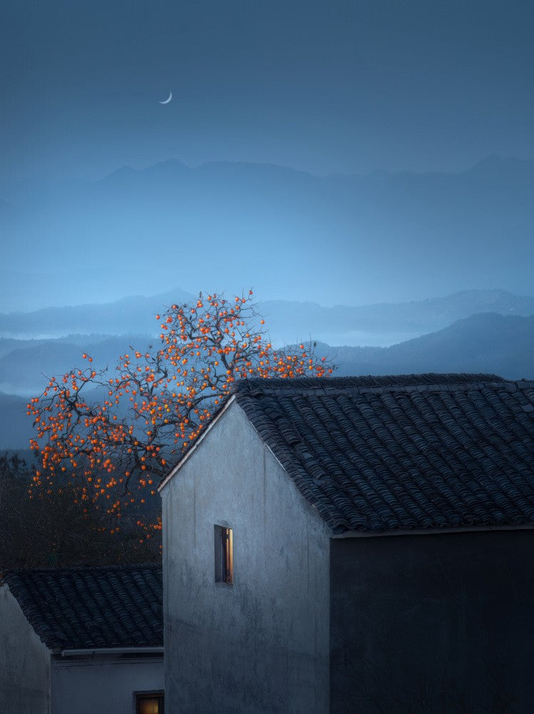 Night
