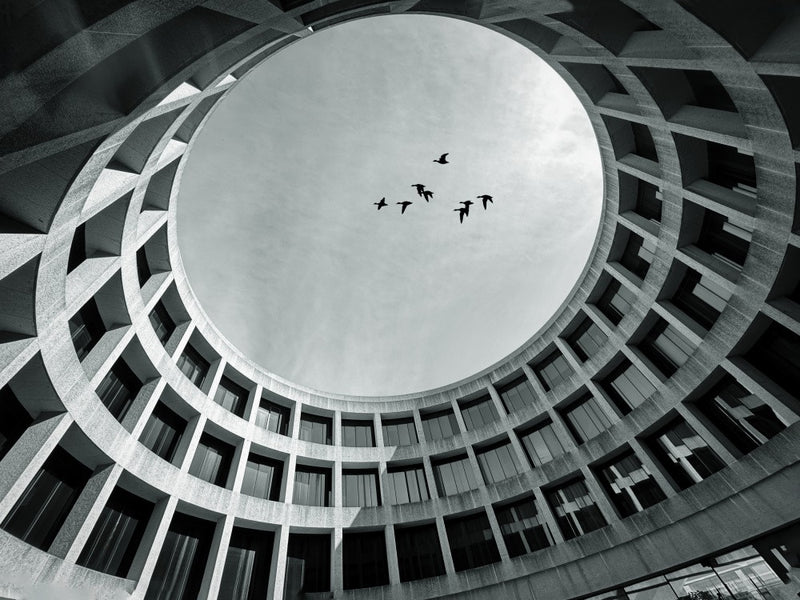 Sky view