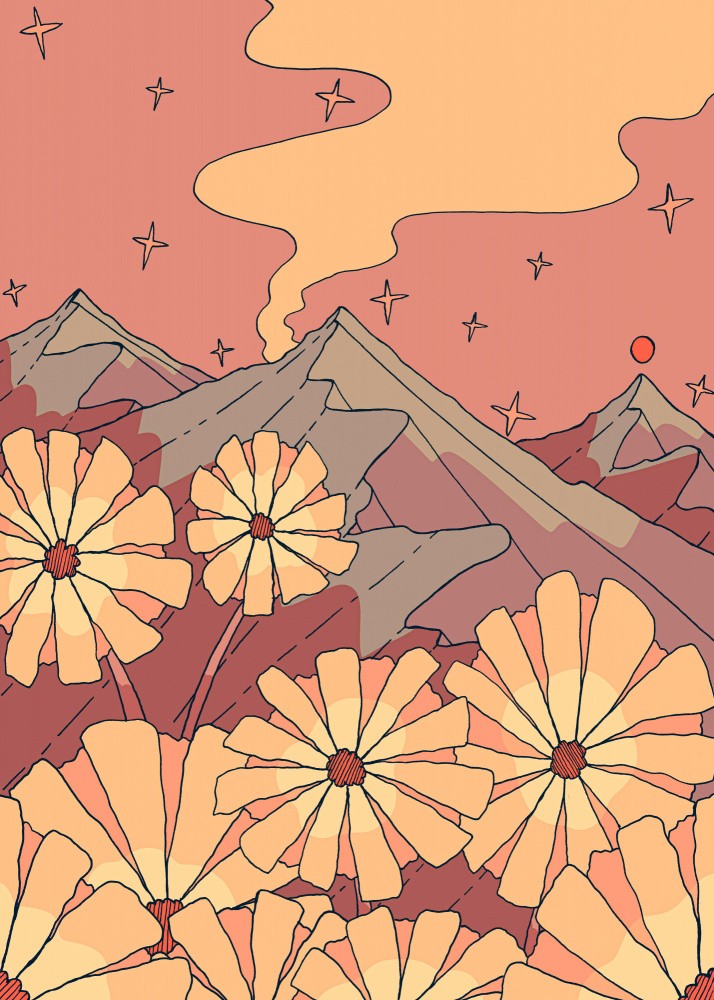 Mountain Sunset Flowers