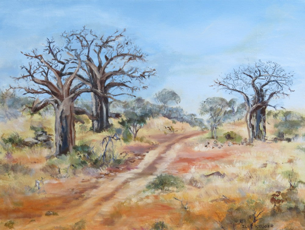 Baobabs Trees under a Sky