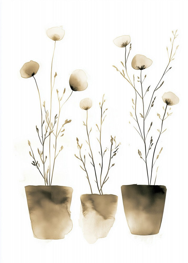 Immergrüne Topfblumen