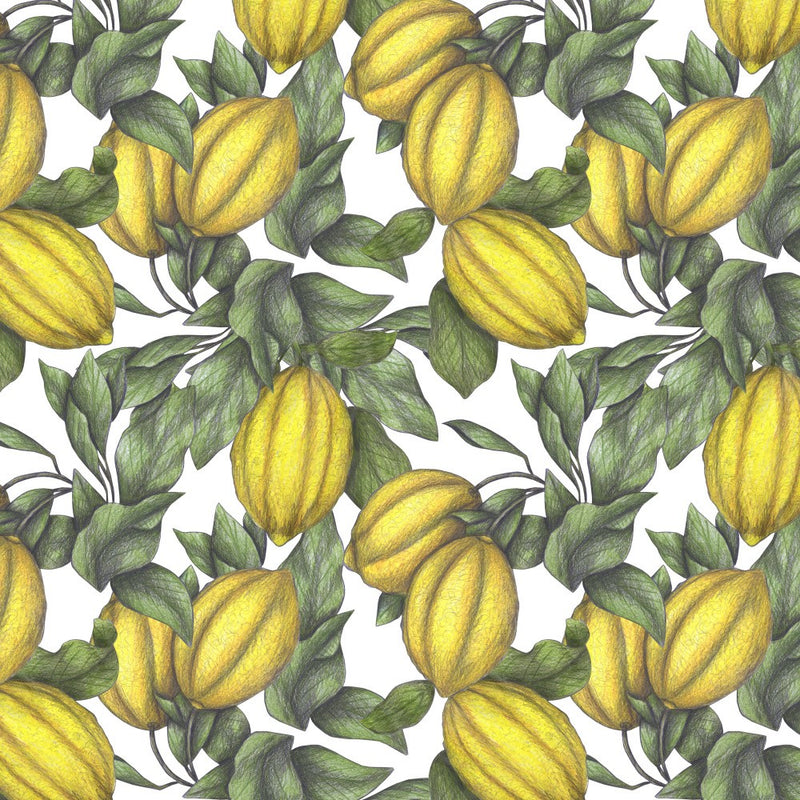 Pattern of Yellow Lemon