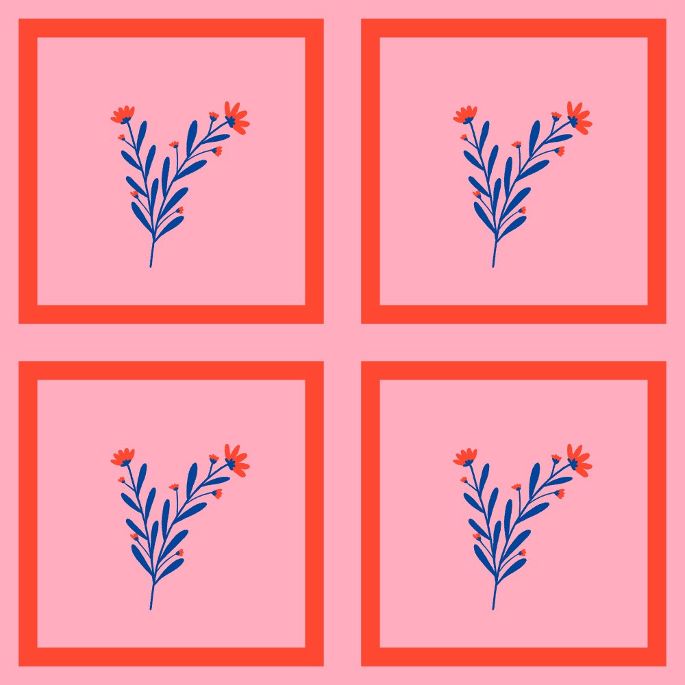 Flowers in frames