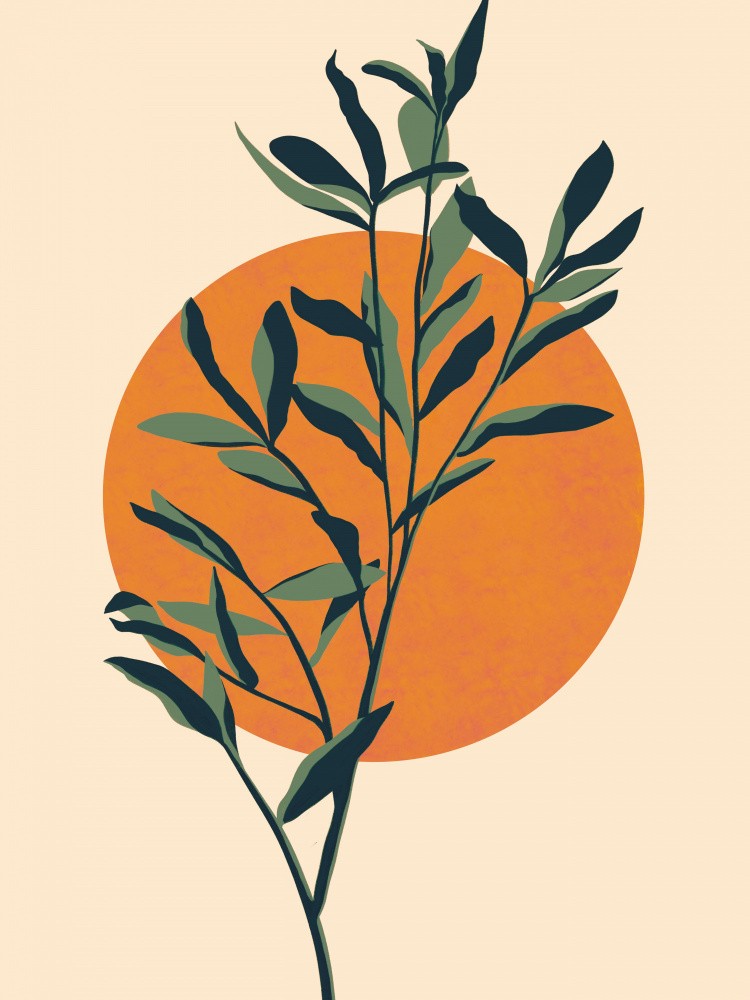 Plante Verte Contre un Soleil
