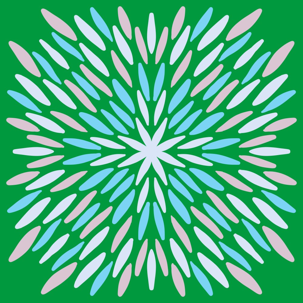 Petal Burst