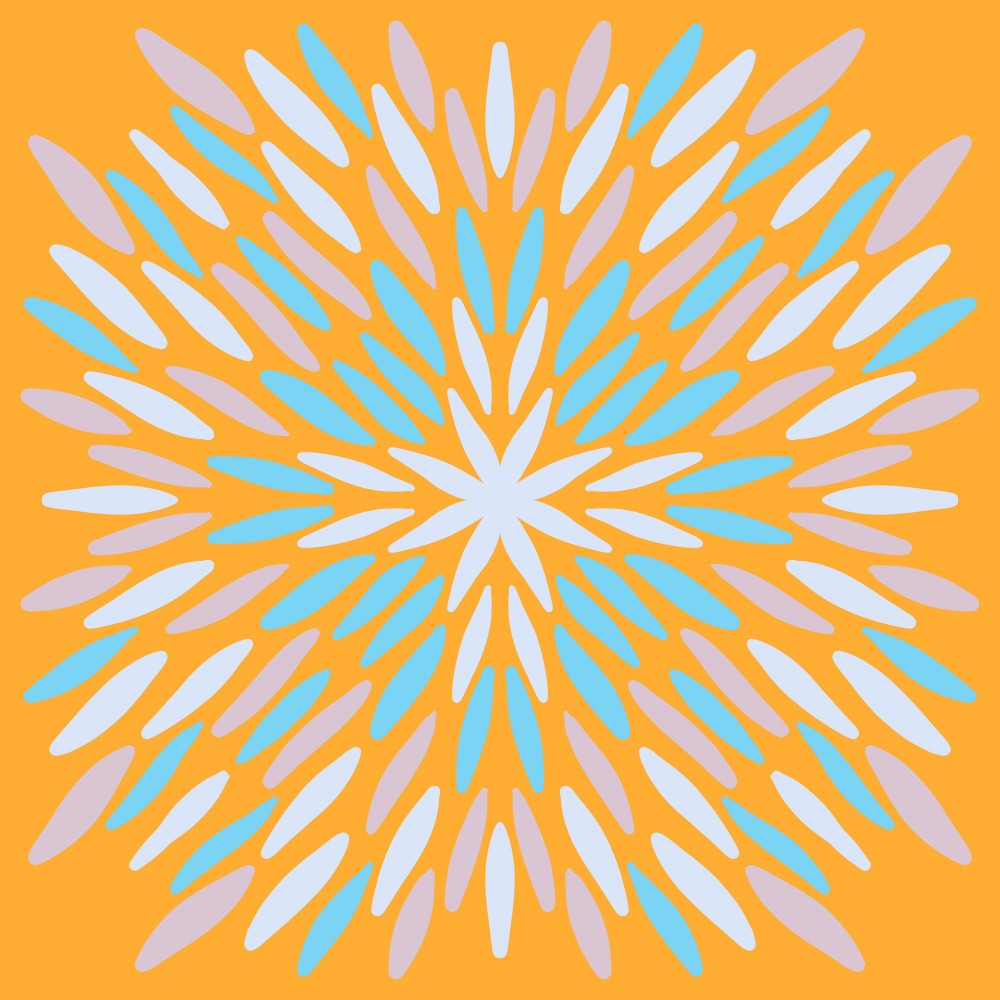 Petal Burst