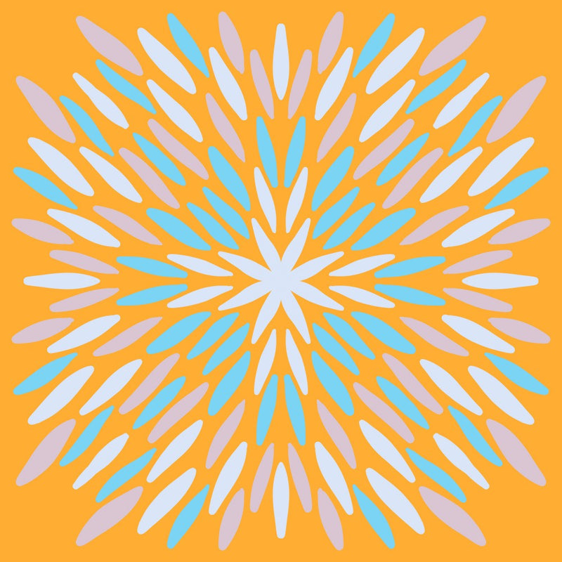 Petal Burst
