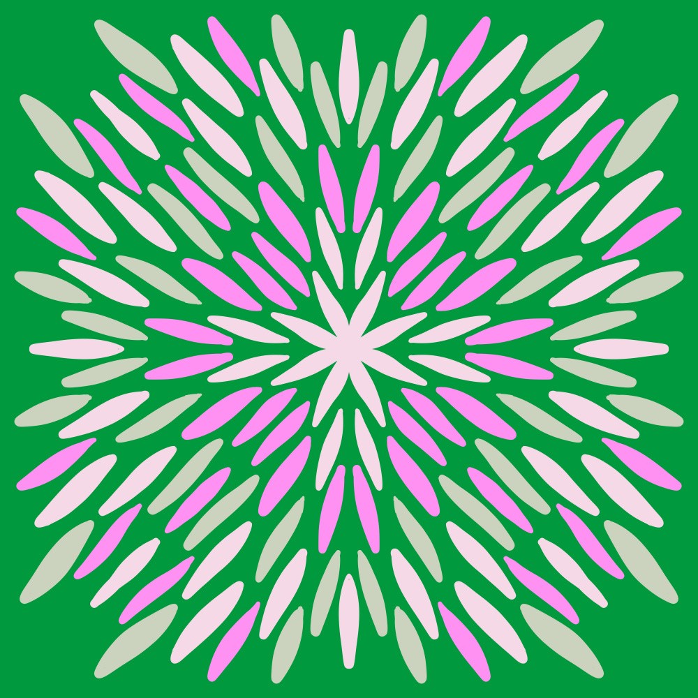 Petal Burst