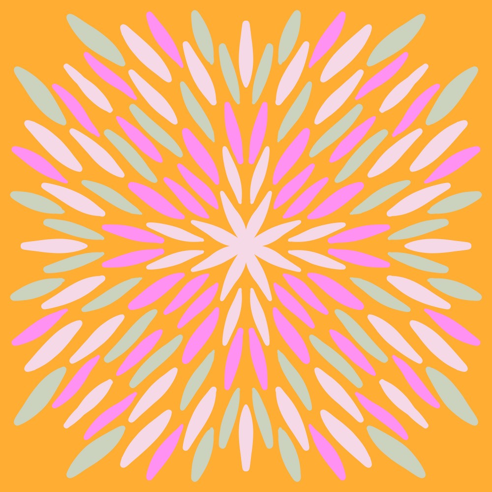 Petal Burst