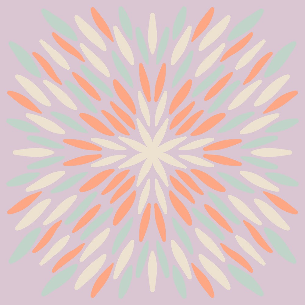 Petal Burst