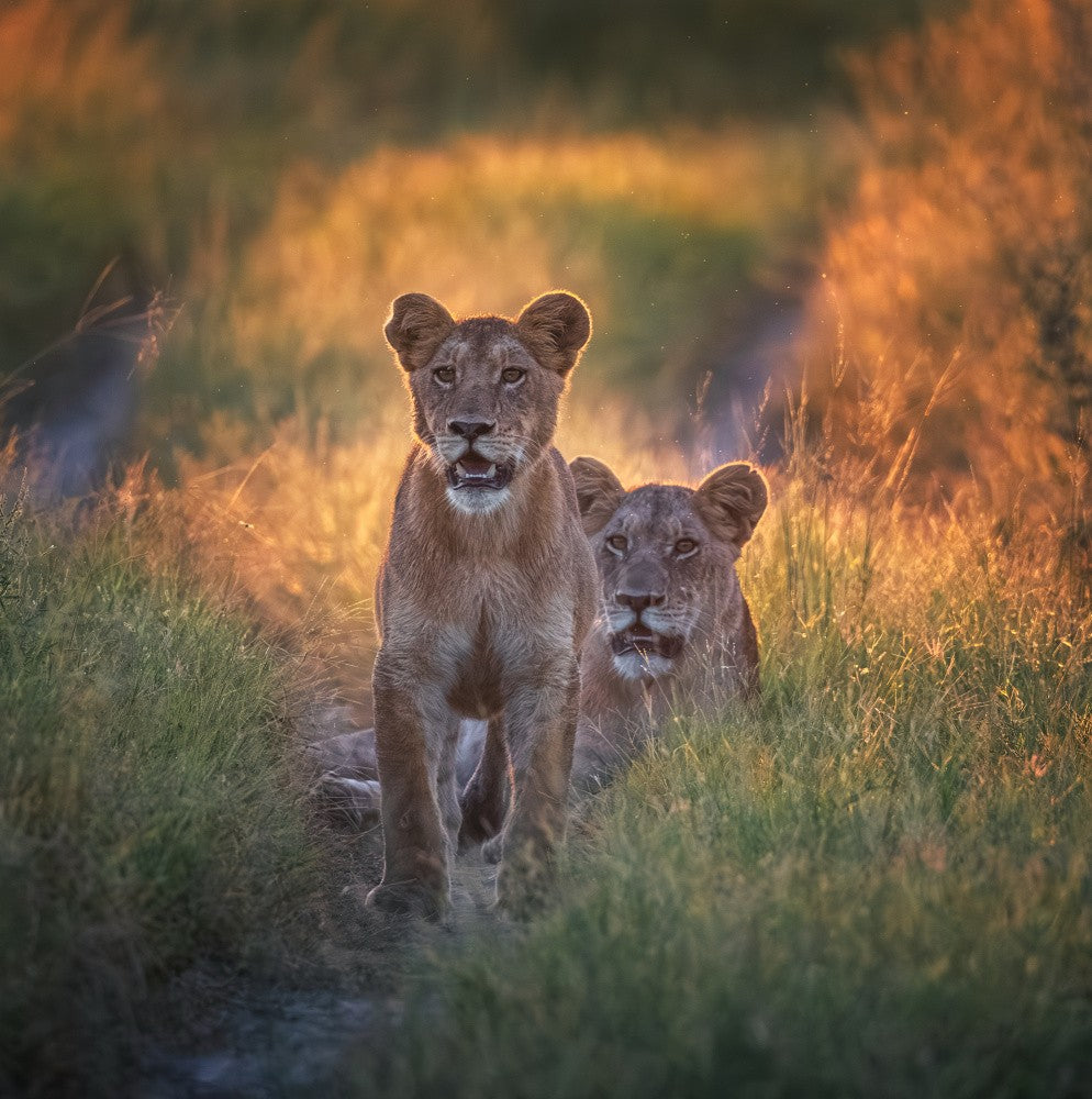 Monther and Daughter
