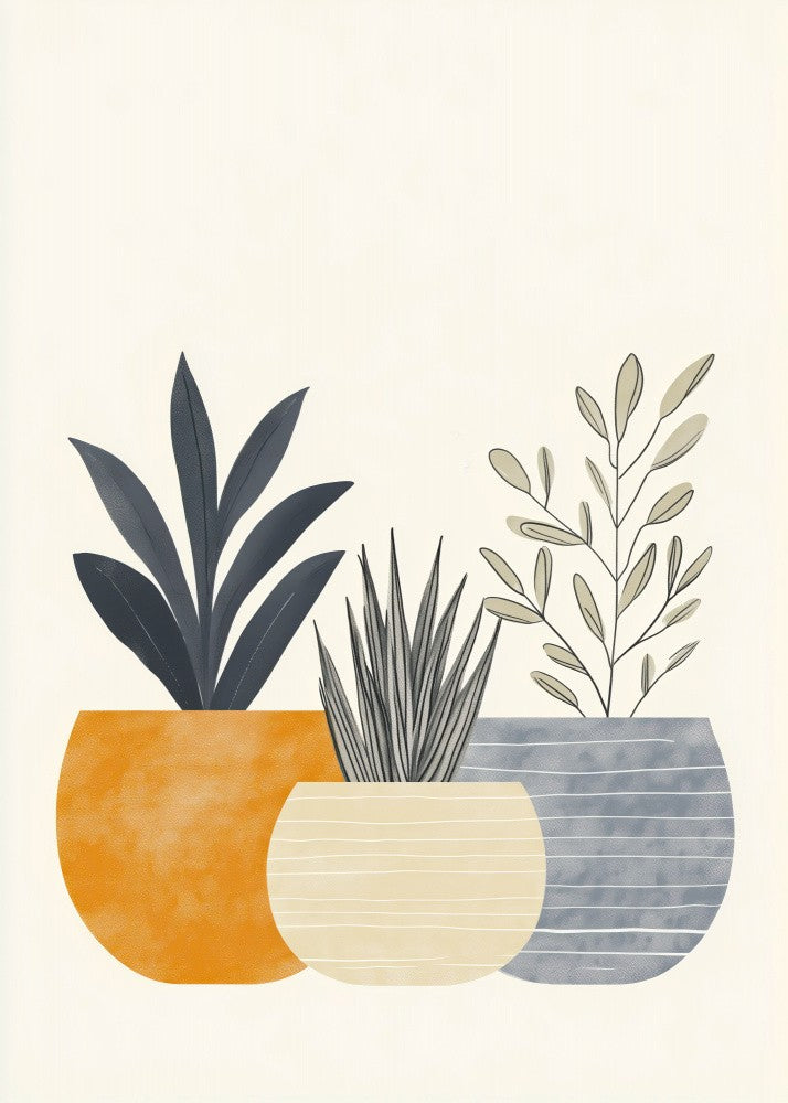 Potted Plants