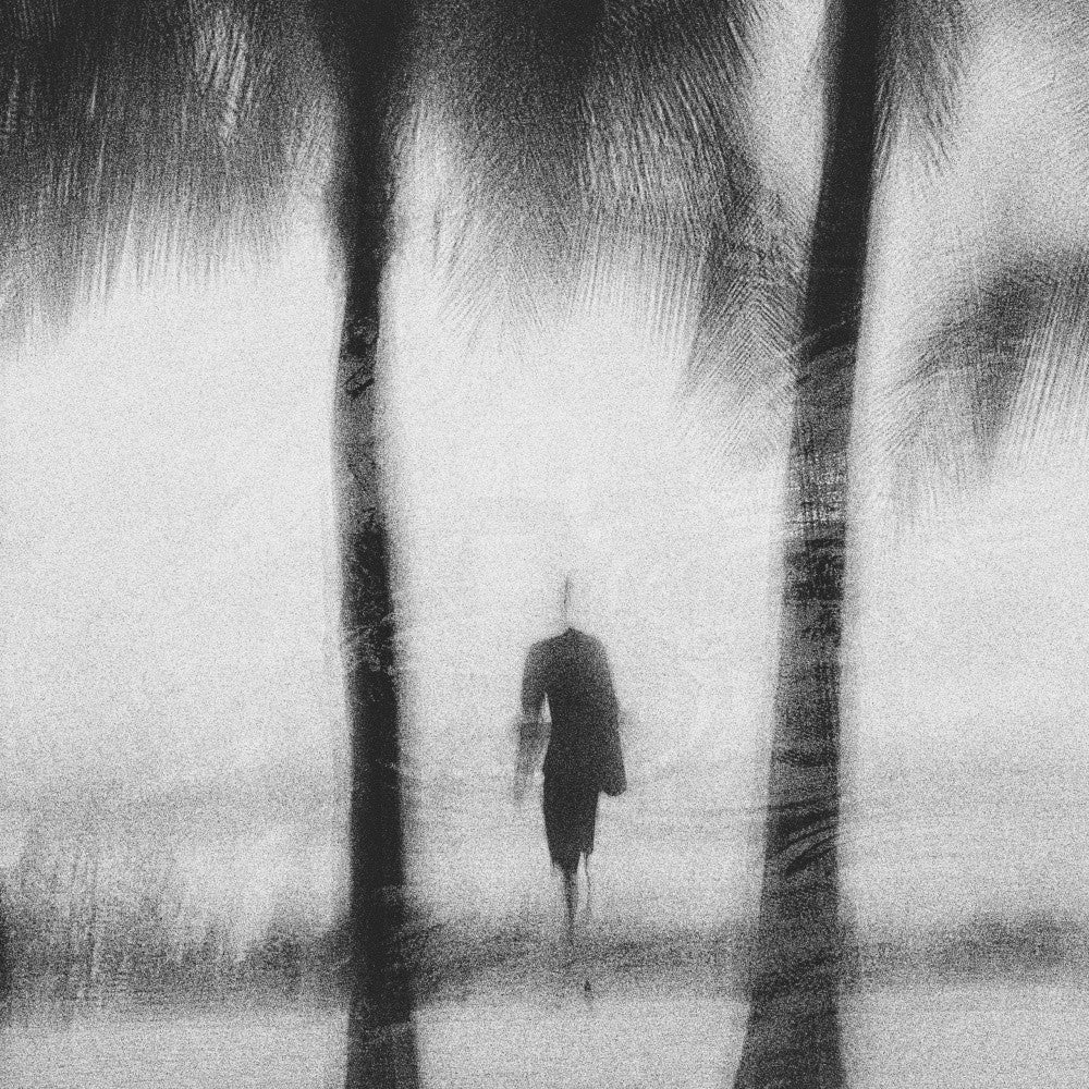Under the Palm Tree…