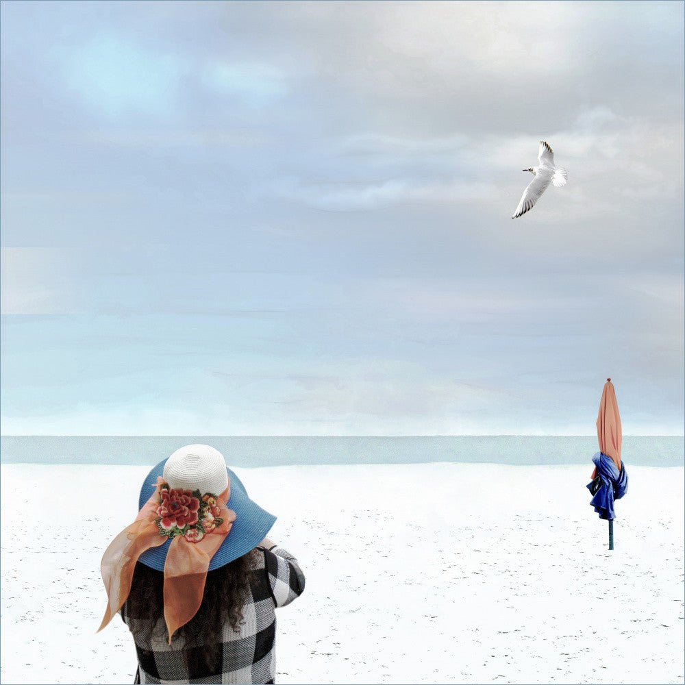 Seagull drifting by...