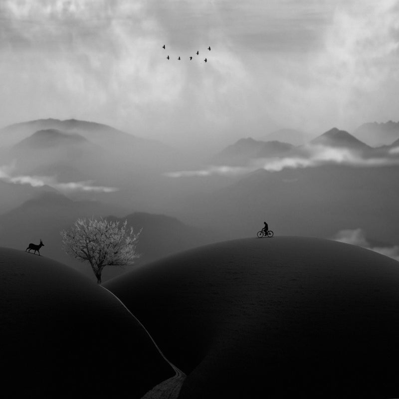 journey
