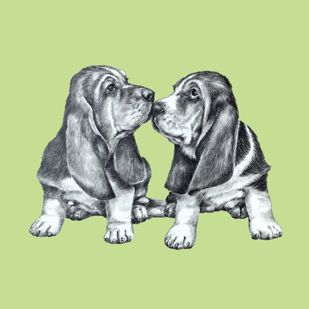 Two Basset Hound Puppies