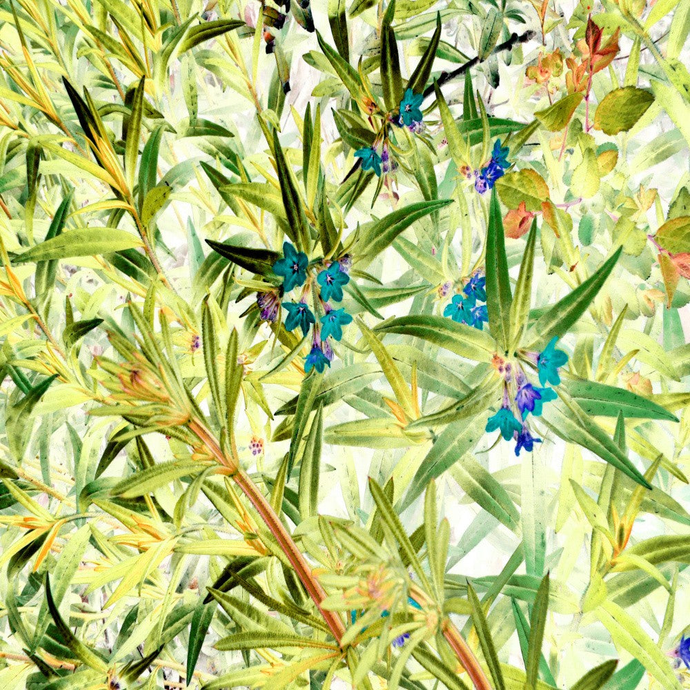 Fleurs Bleues dans une Dynamique