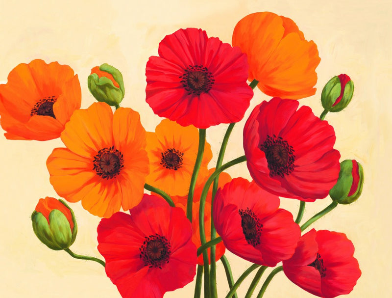 Poppy Blossom Burst