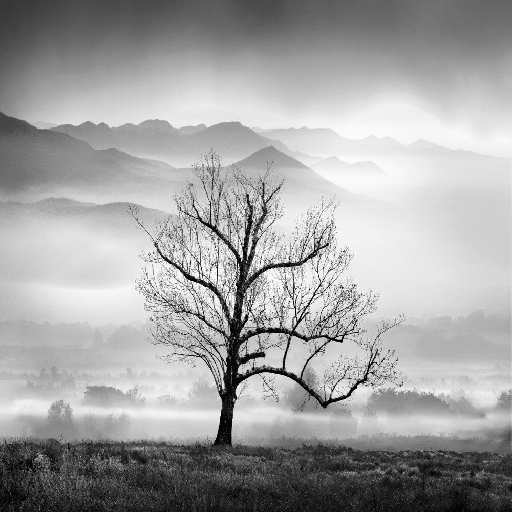Ruler of the Mists
