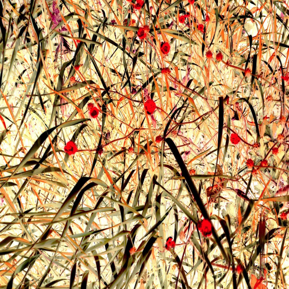 Danse des Fleurs Entremêlées