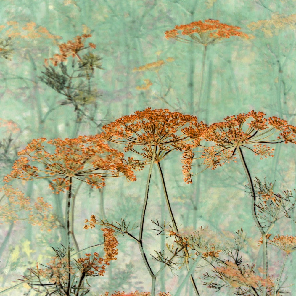 Whispers of Nature