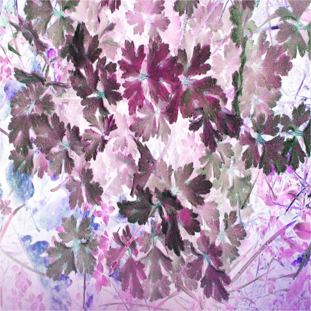 Motif Floral aux Teintes Vibrantes de Violet et de Rose