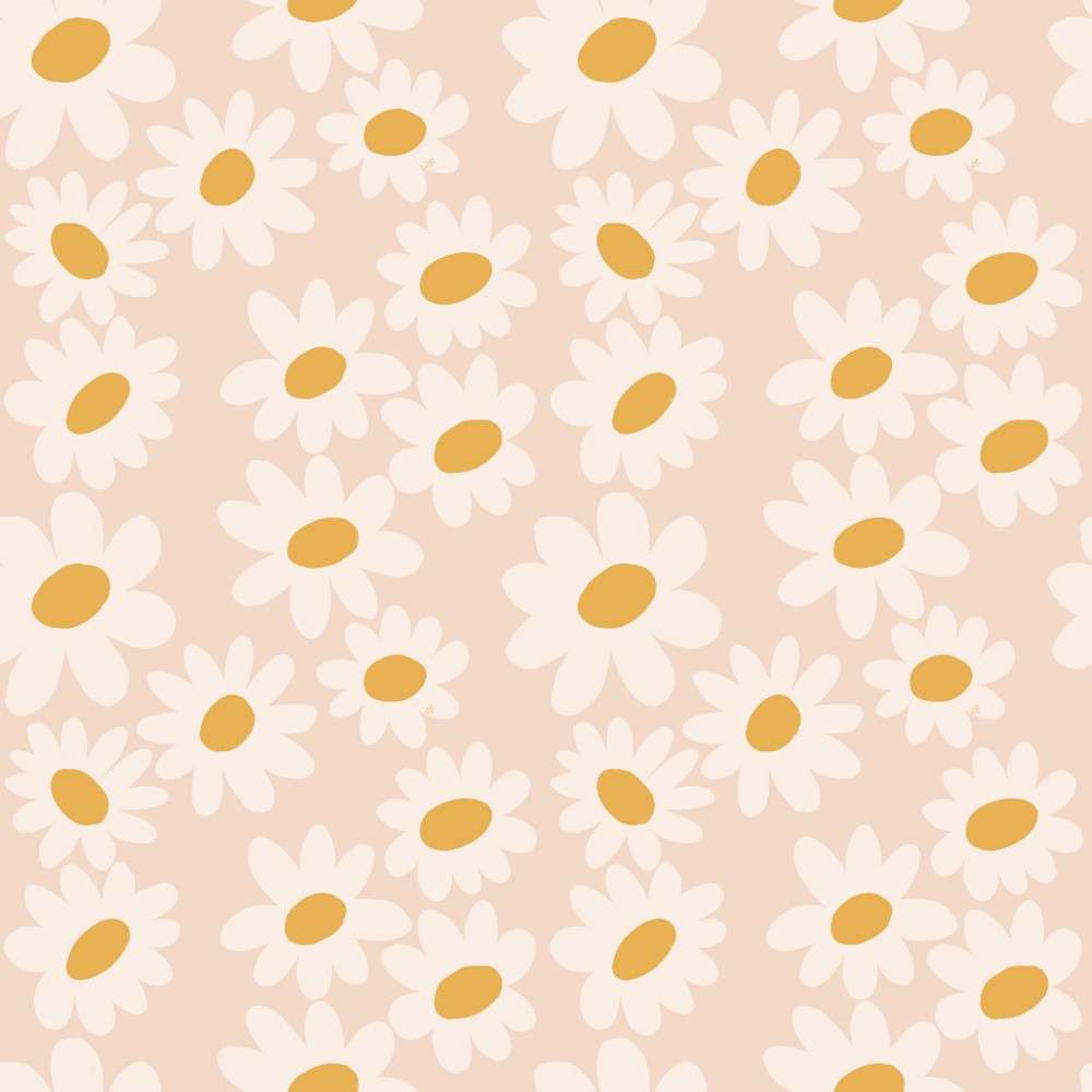 Soft Daisies