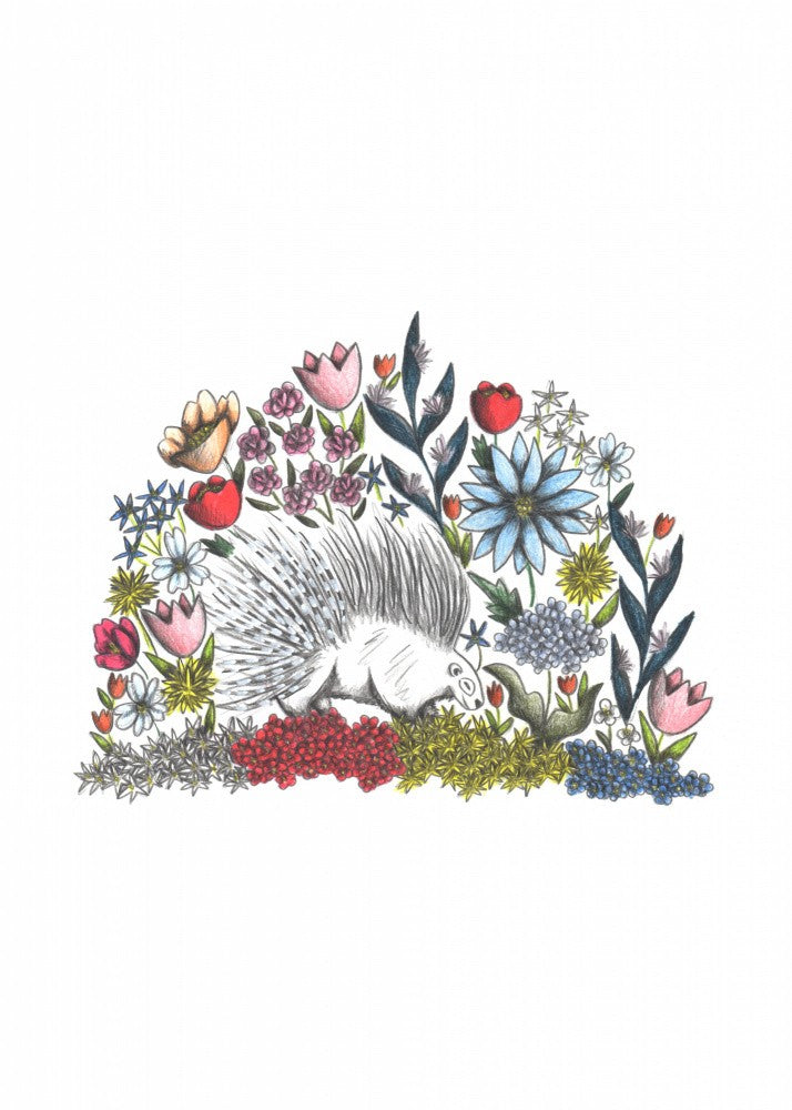 Porcupine in the midst of Flowers