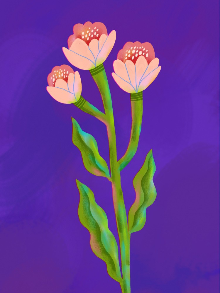 Petals of Serenity