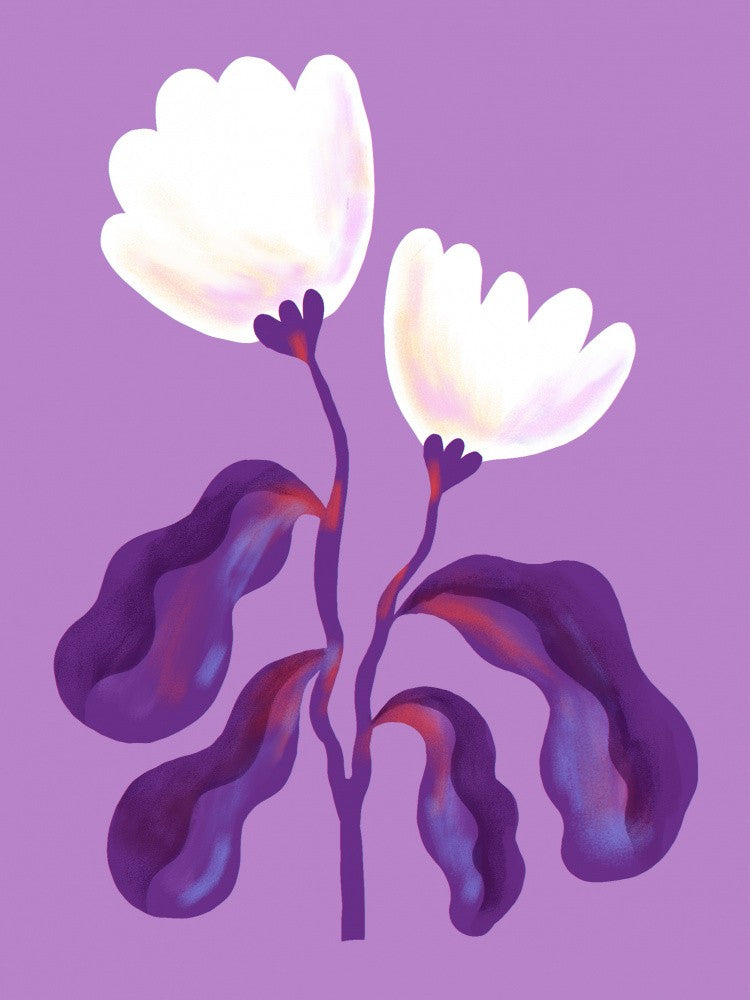 White Flowers and Violet Leaves