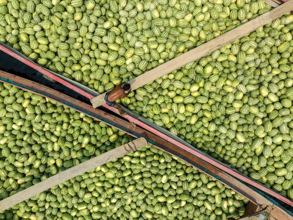 Watermelons on boats