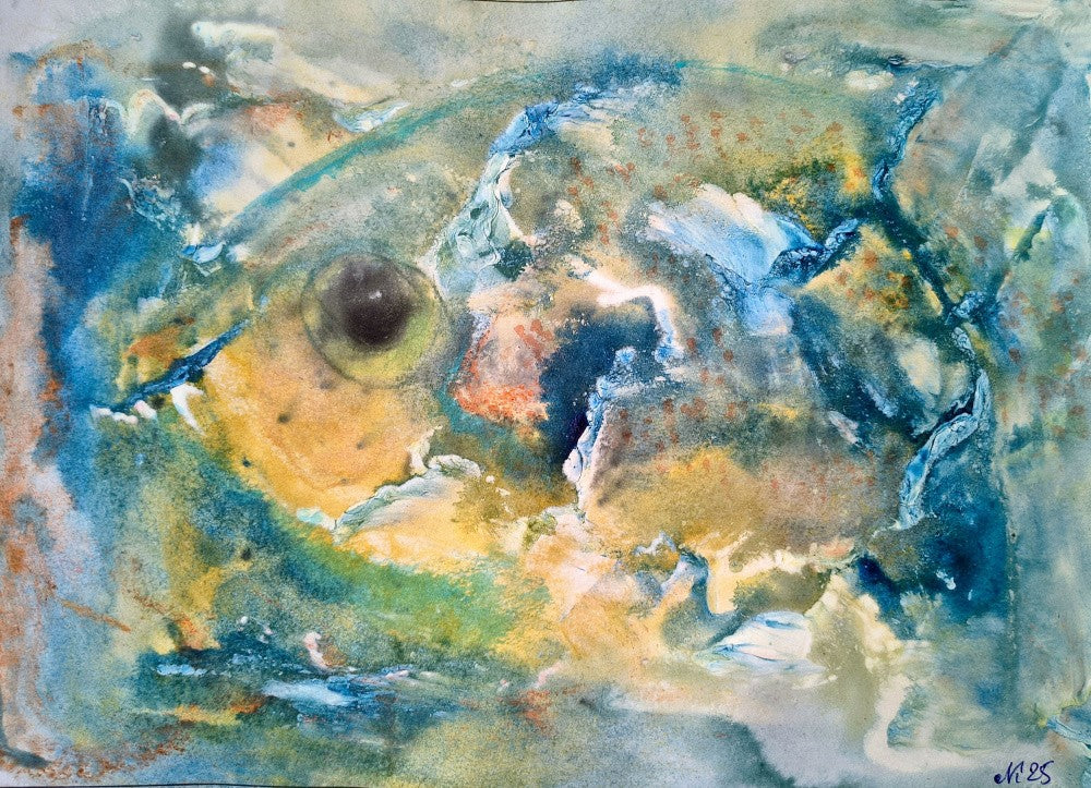 Fish in Motion